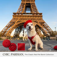 The Classic Red Pet Beret Collection — red dog beret graphic with Elko at the Eiffel Tower