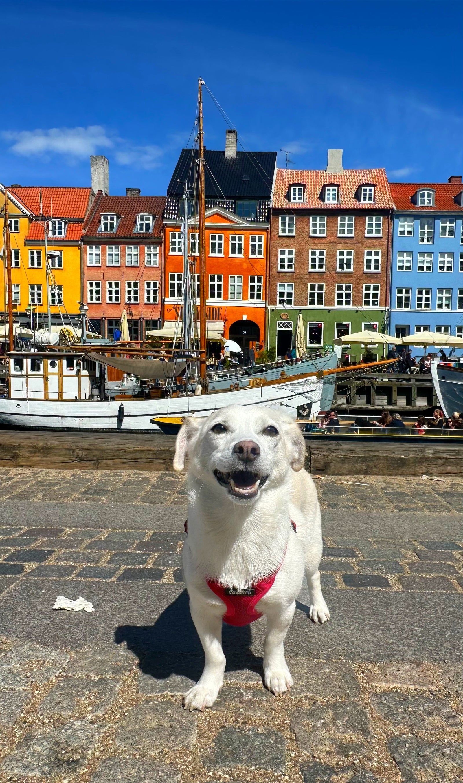 Elko in Copenhagen Denmark - mobile